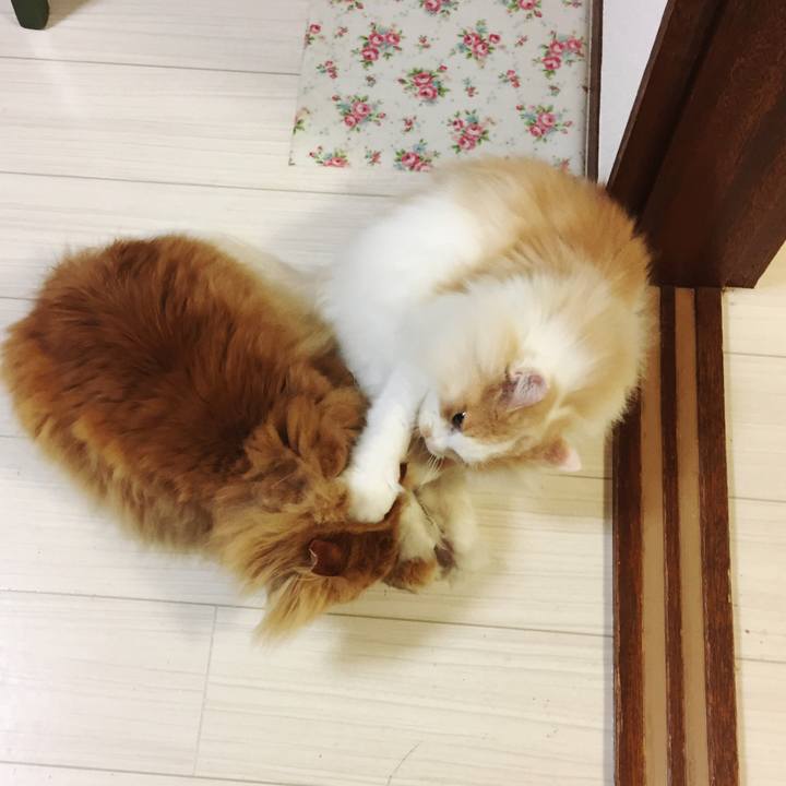 74a8c5ef 5fac 4832 a82c 5fa6b5204634