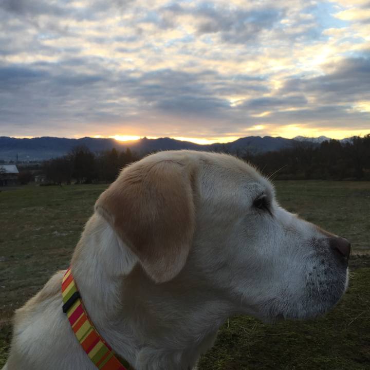 74a93740 a7b5 4ec1 a00b b9114991aa07