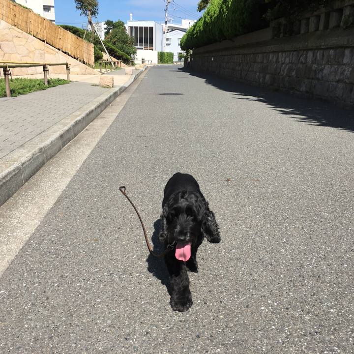 74aadafe f8f2 4340 b54d e0475e8ab326