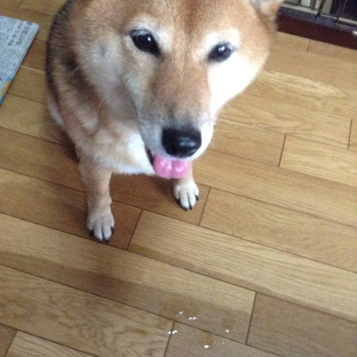 74ab2ce1 89b4 461f 9fb0 85647041a16f