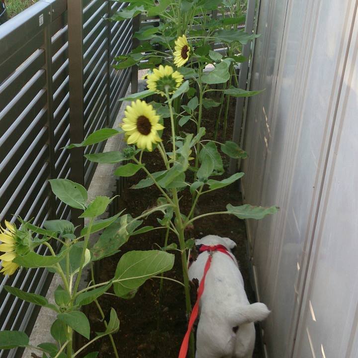 74ab8410 3273 475c b161 2d08e3c3aed9