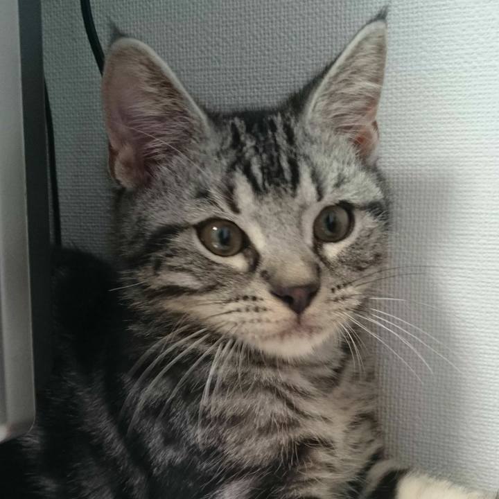 74abc044 afec 49d5 a858 c541e60dc61f