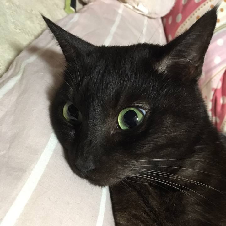 74ad01ea 5dd6 4f10 a6d5 98dbdcd163a5