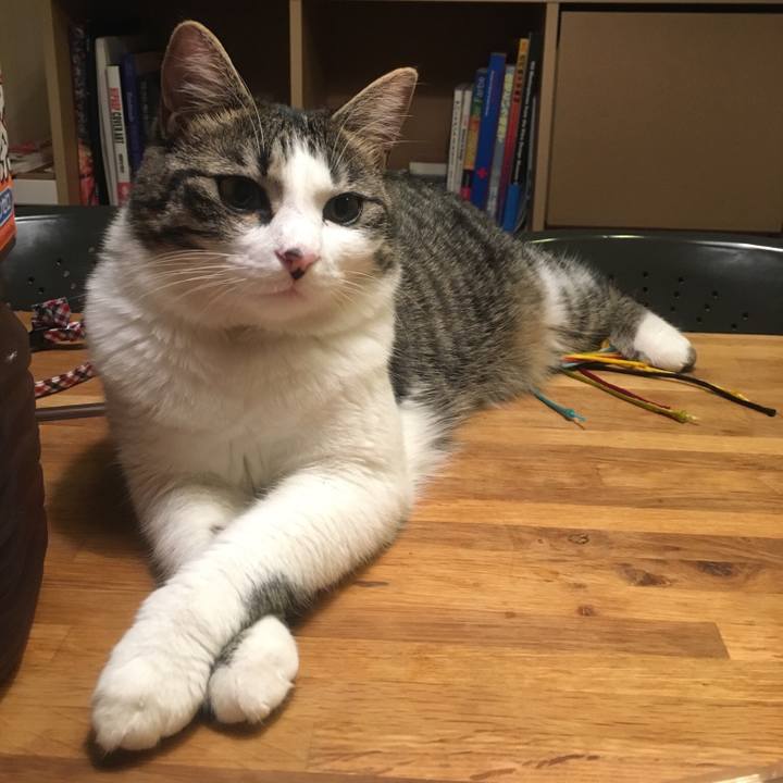 74ad5256 dc86 46e1 a031 abfe4da9b805