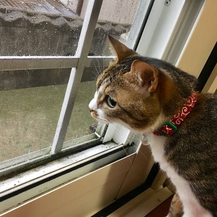 74ad8031 f7e4 4d46 a665 9c3aa3ce0b92