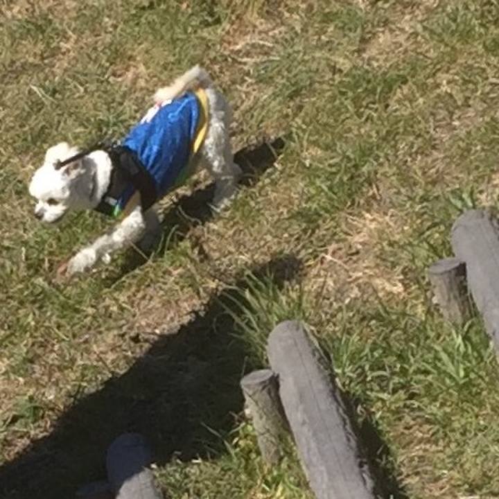 74ae58fa d239 4d95 a422 b30b8c8b8eee