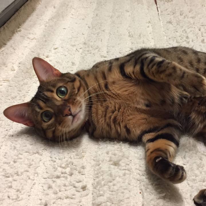 74afaa82 2285 4bdf 8f2d 196311c5136f