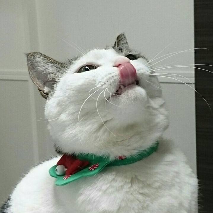 74b023b2 d551 4326 bd0d 338eafaf1c5e