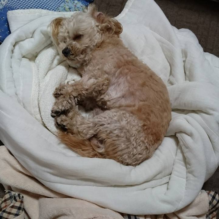 74b0958c 547c 478a 88a0 18fcbbe8508f