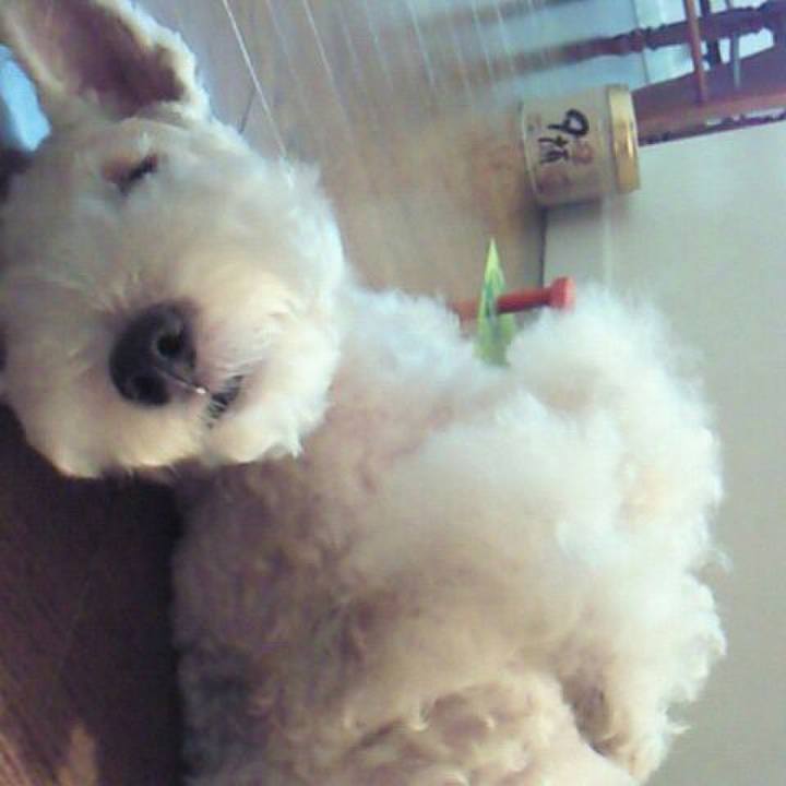 74b09c45 1afe 404e 9179 3098c449a0ed