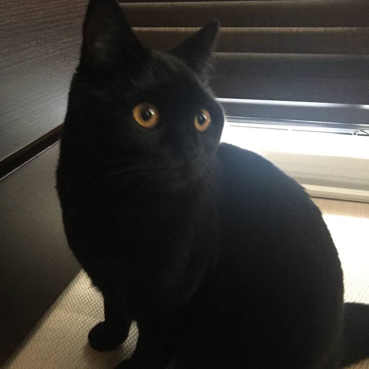 74b0b66e a441 43ec a714 d50f1e7399cd