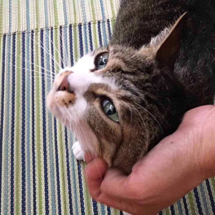 74b0d9c6 7fc0 443a 8add e2ccb2995c23