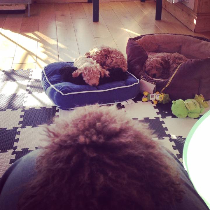 74b112bd 470e 4042 81cd 62084b6f4fd5