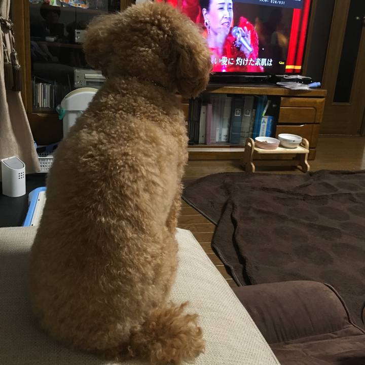 74b157d0 e6d7 4905 9008 8777dba90a7d