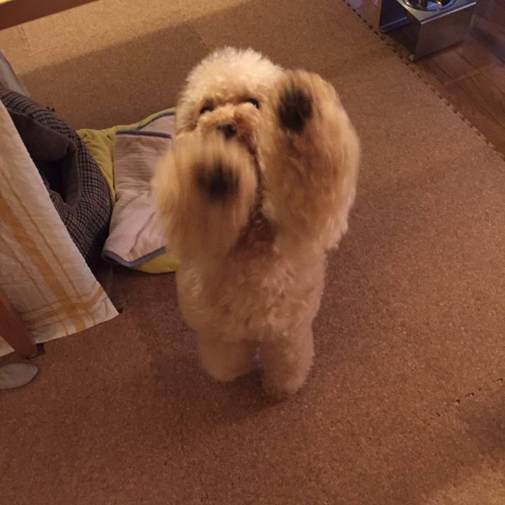 74b17b7f c95c 4680 bb98 e881552aa268