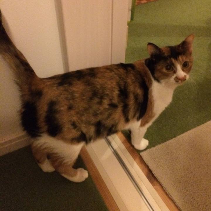 74b186a3 64ca 448d 91b3 a1b20e35e618