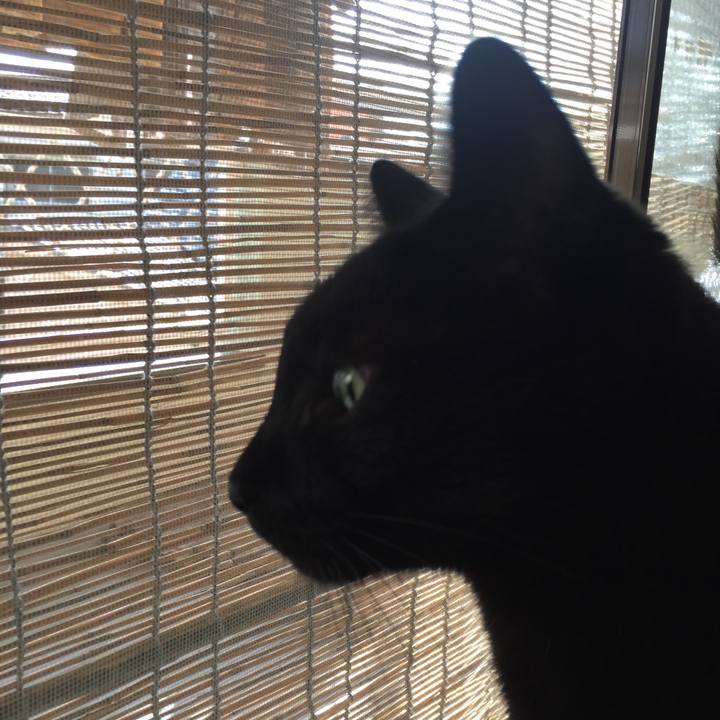 74b21b31 561e 4df4 b278 c8309270bfde