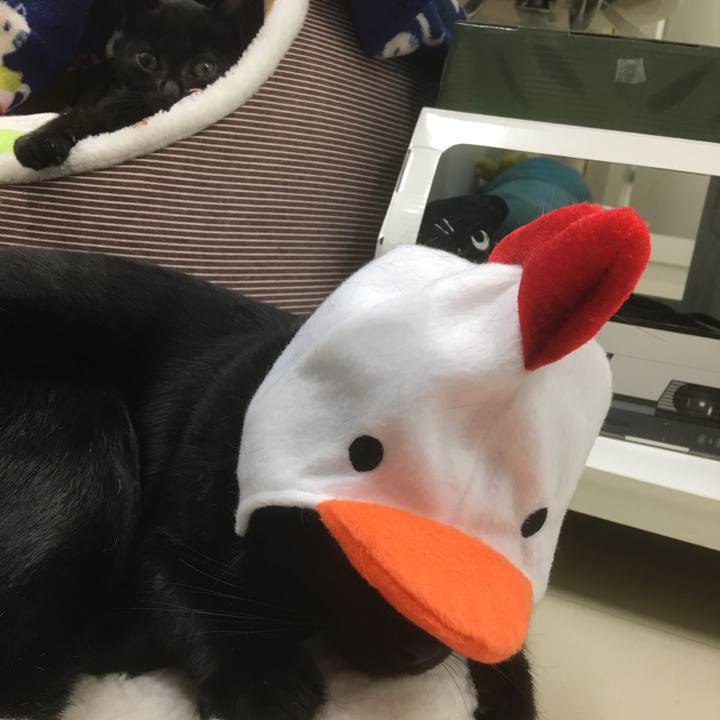 74b32a04 fe27 4c1a b890 2ec4b658ab7f