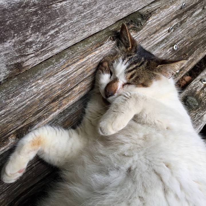 74b35171 a3eb 4876 8331 023ef66de9bf