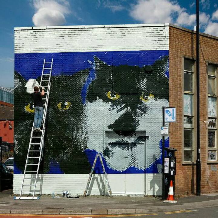 74b3b6ce e966 4f2f b417 77f62530a85c