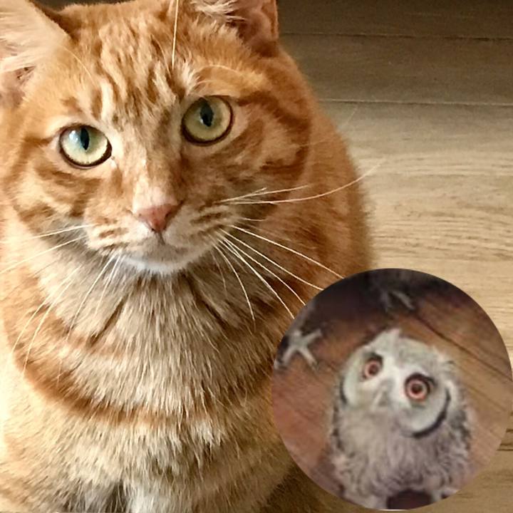 74b43692 962a 48cd 9af9 246e8dc0bf21