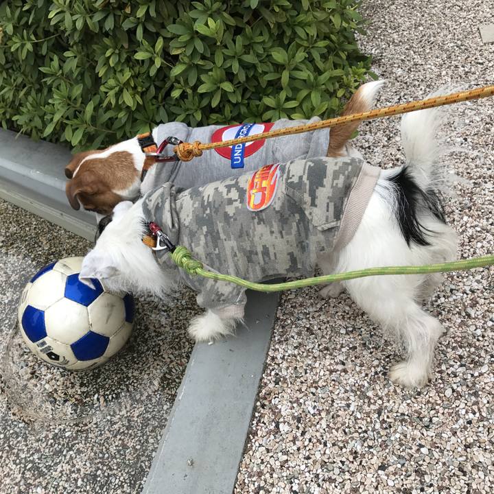 74b45b90 7485 4791 9056 02475ef5e97d