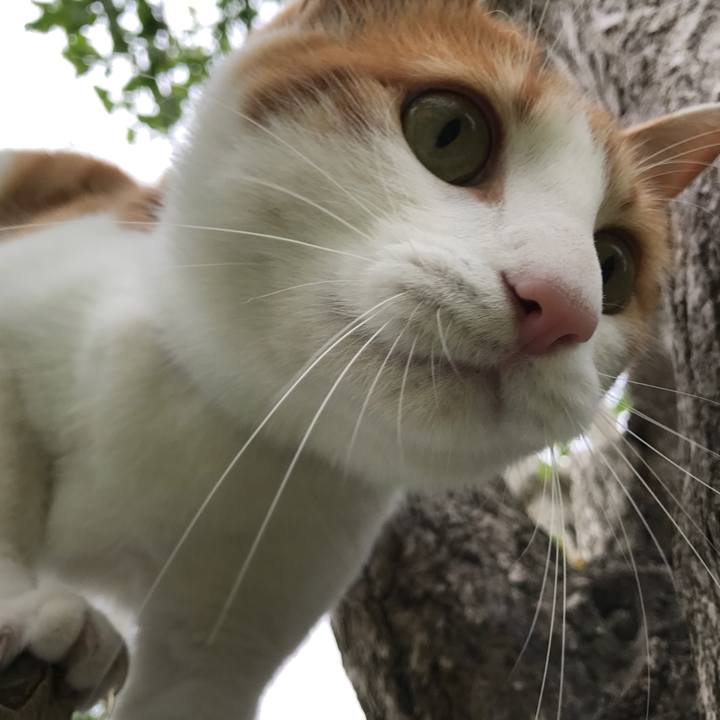 74b48818 7592 424a 8c02 dc26b3b1562d