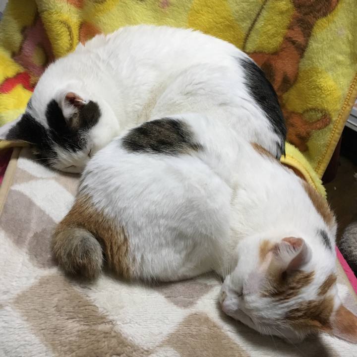 74b4cce3 6bb7 4175 bd53 8224f9991f62