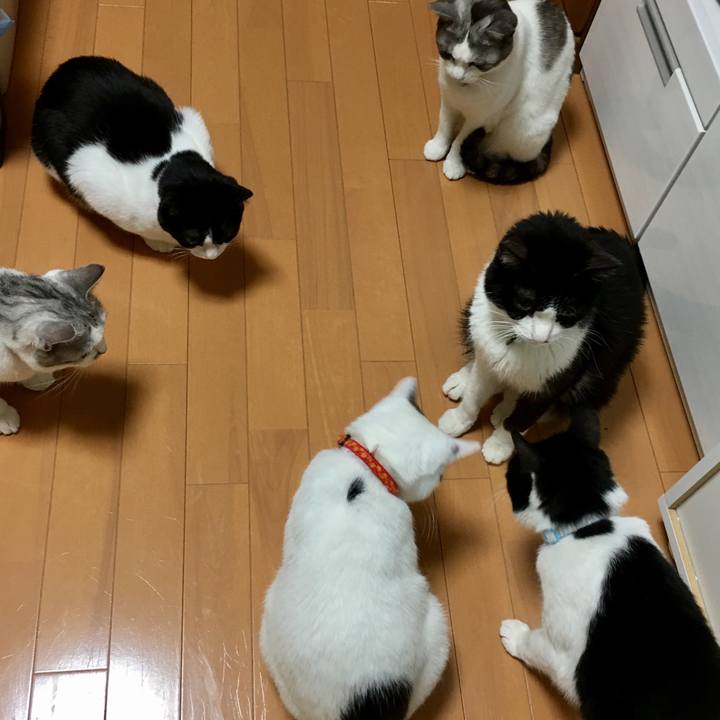 74b53fba 63e6 4014 a217 2a38cc36df7c