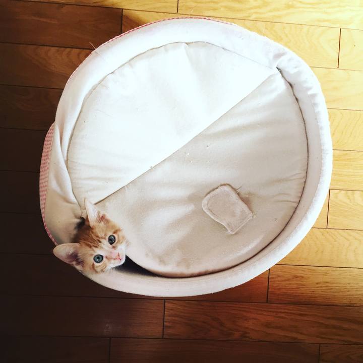 74b58f3e 0c3a 42e3 86d1 4c799d801137