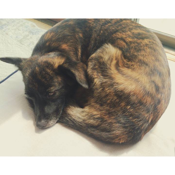 74b5dccc 2f00 4725 8525 caa743114908