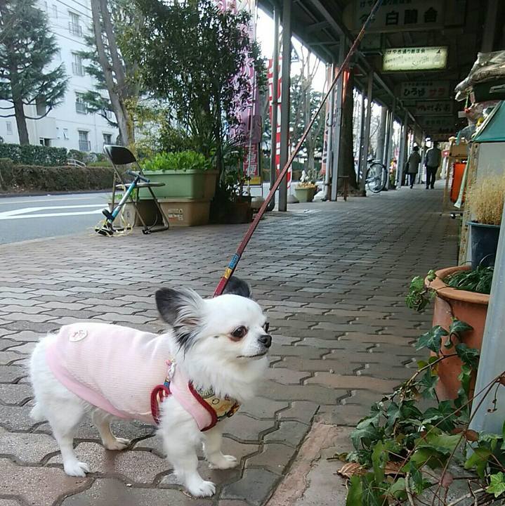 74b5de43 c694 407b a2b2 5f60c214b790