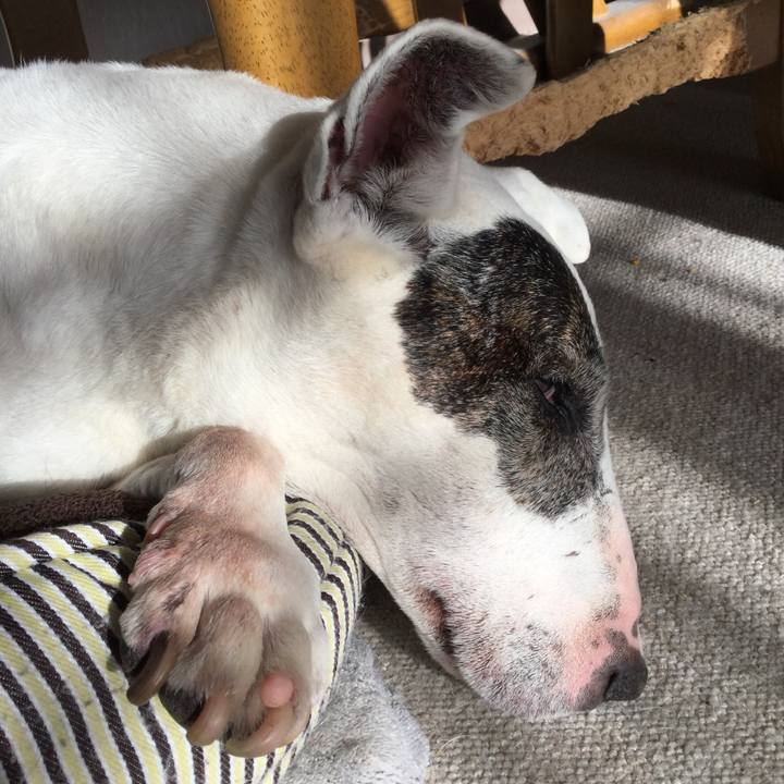 74b5ee19 37fe 41c2 937e 6e044aa6e1fb