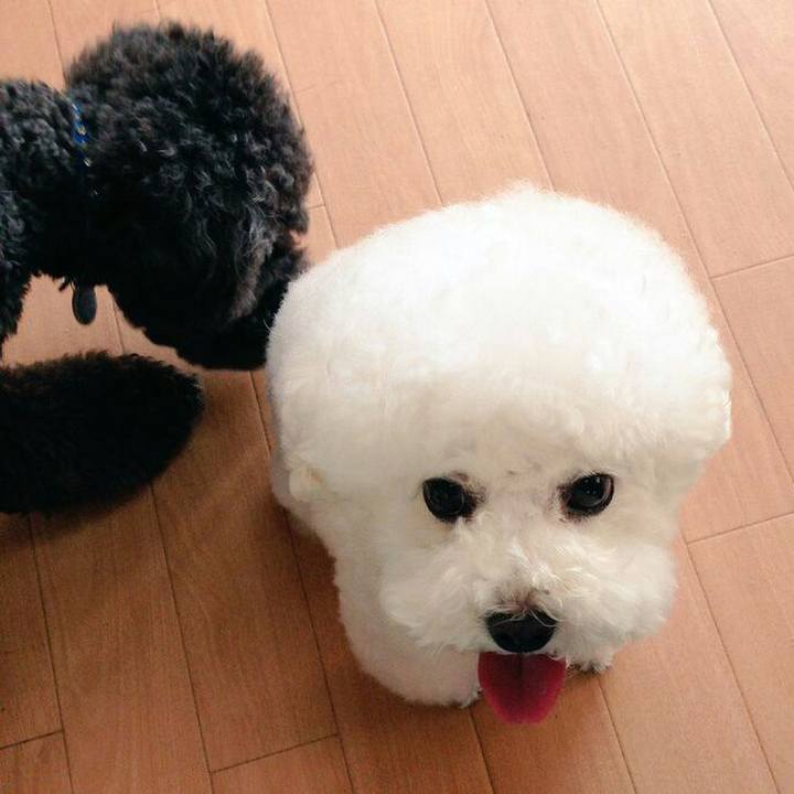 74b6a72c efae 4e09 820b 2fc8084fa3cf