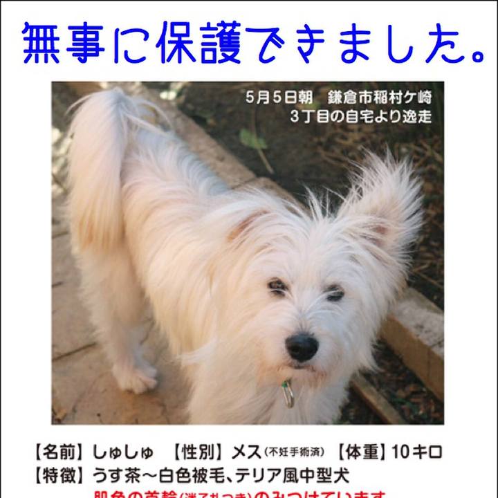 74b7b608 c5bb 4401 ac97 9f16367ef53f