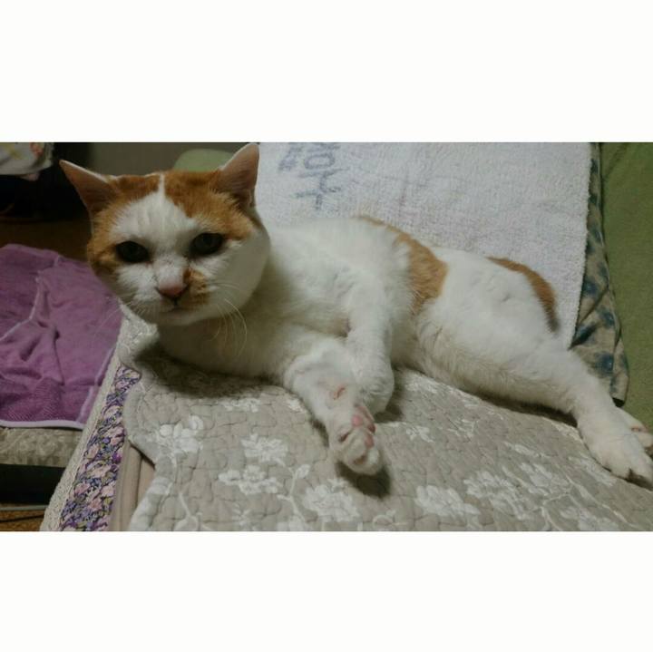 74b87aa2 a539 47b6 a8c7 94452007e18f