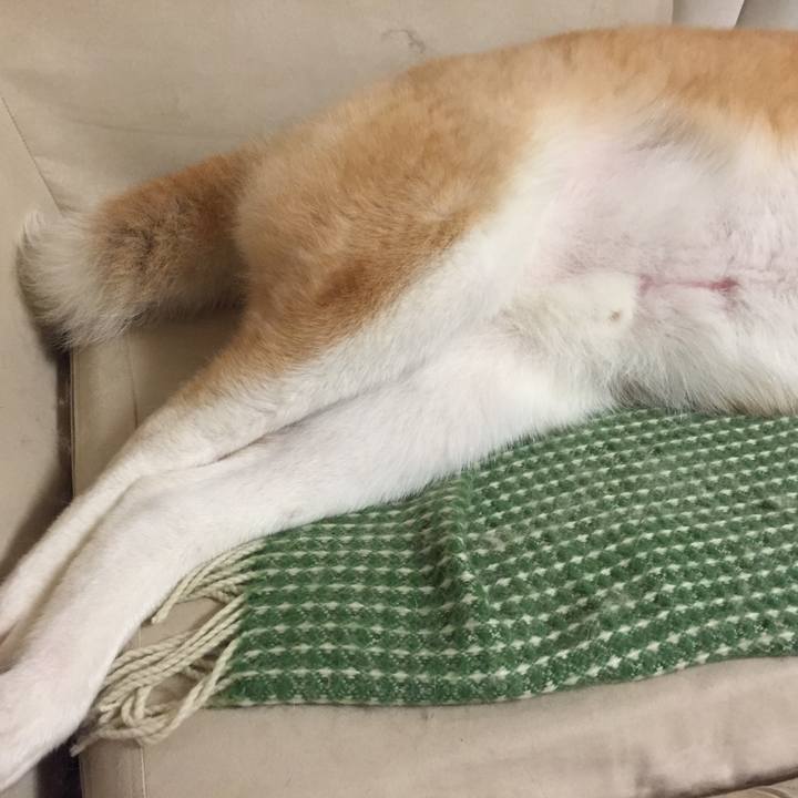 74b8ef34 9a01 4c45 923c d2762e23e42f