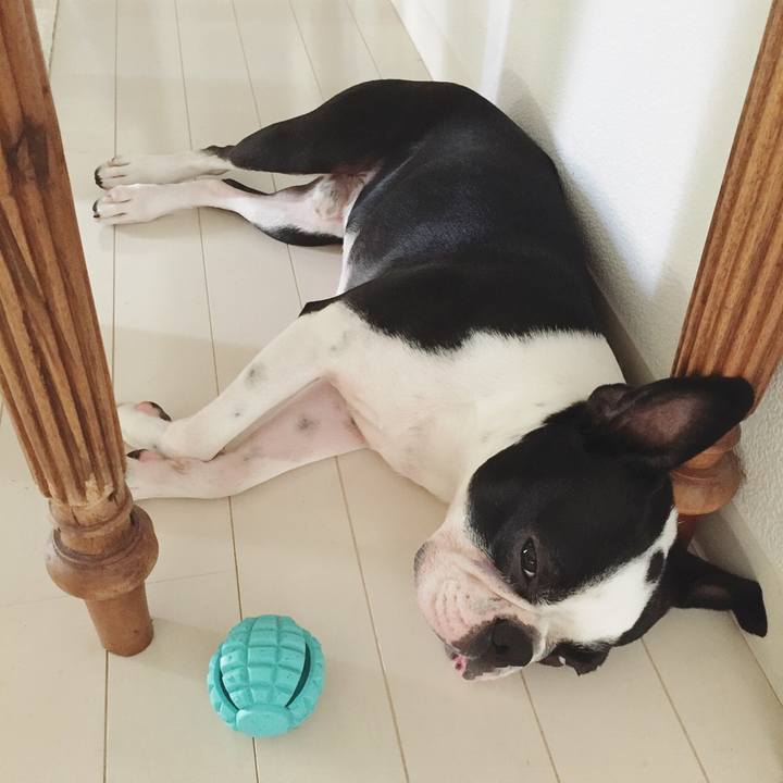 74b99fe4 7920 451d 880d 543cb21cf72f