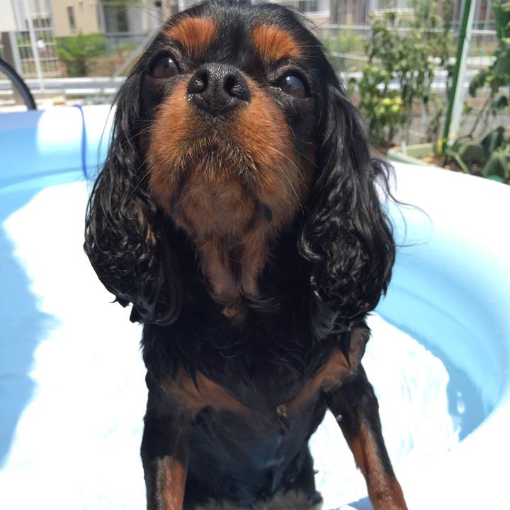 74b9adbe b038 4e46 8c90 98c593fa615d