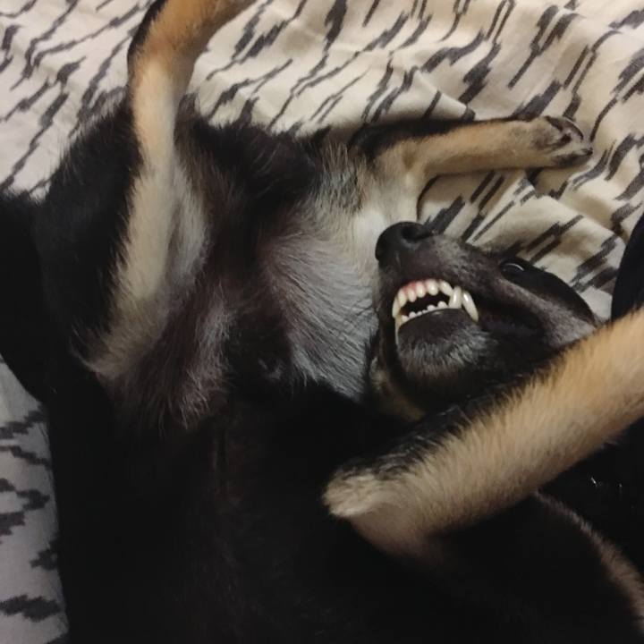 74b9bc0b 11ed 4f1b 86e9 b234f5a96427