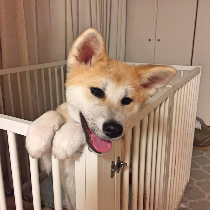 74b9e525 cb65 4f9d 8e2d 4b63b51c441c