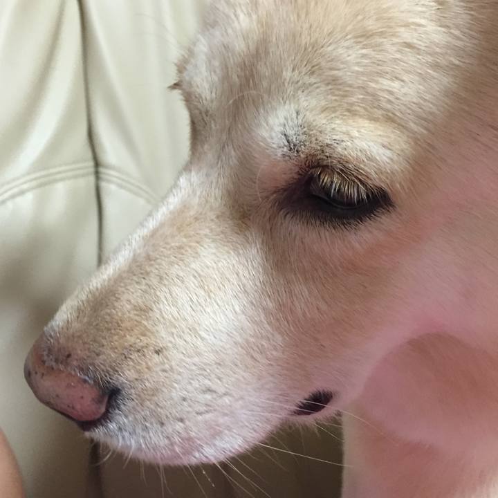 74b9eb37 5256 4baf 9d5f dea082f58a87