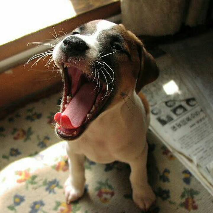 74ba7f14 27de 4b10 bae8 96cf880e9635