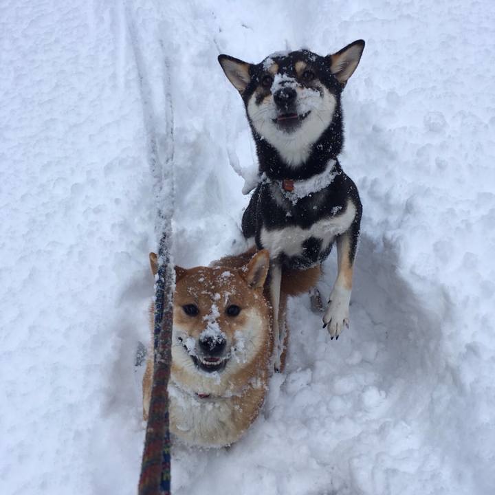 74bac6af 7269 423e 8908 66cced160a86