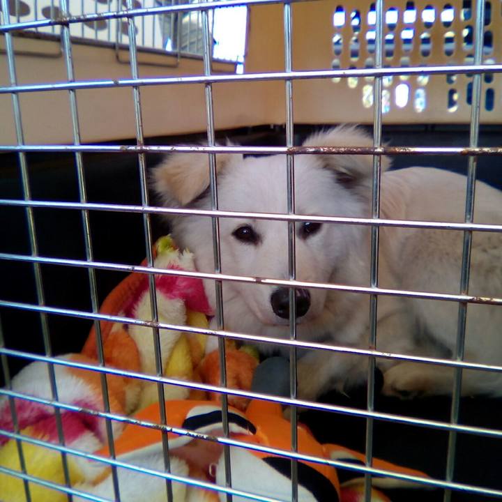 74bae011 7824 4619 8ecd 326f9509dfab