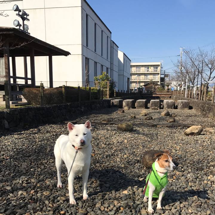 74bae7f0 91d7 41f8 8669 e4329a1cfcb2