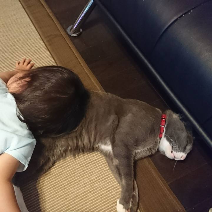 74bb95dd a172 474d 813e e72770fcc1ea