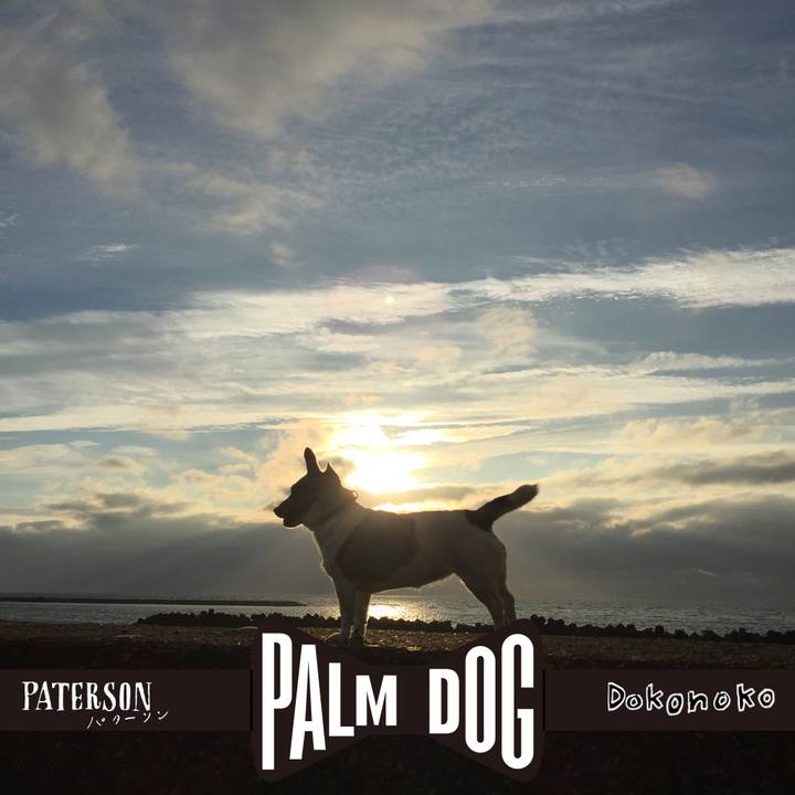 74bc0021 47a9 47fb 8aa6 7d8f4804265a