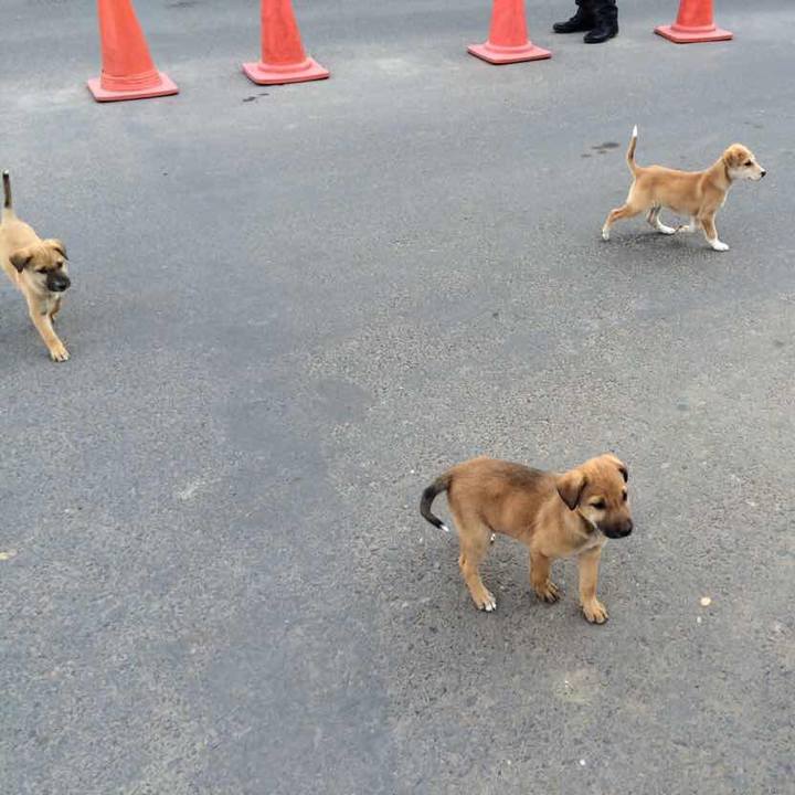 74bcacb3 3735 4601 8e9a 337f8b7db1ac