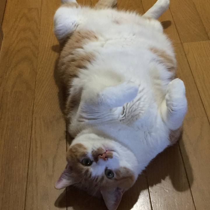 74bcc249 4383 44de 8212 14cdcc46a342